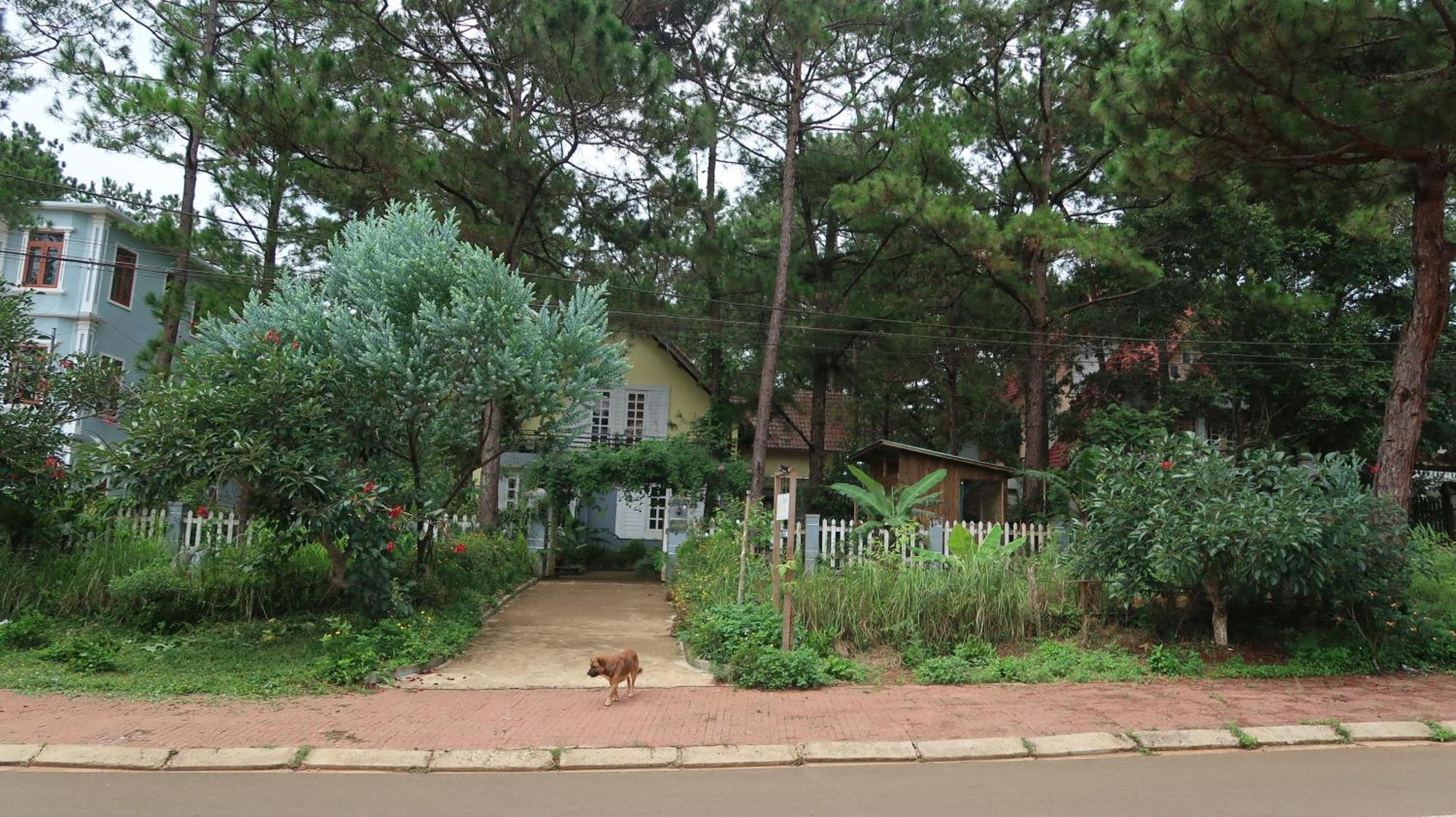 La Maison Homestay Măng Đen Tỉnh Kontum Exterior foto