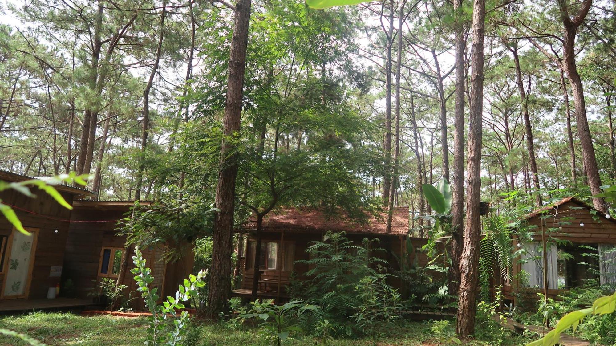 La Maison Homestay Măng Đen Tỉnh Kontum Exterior foto