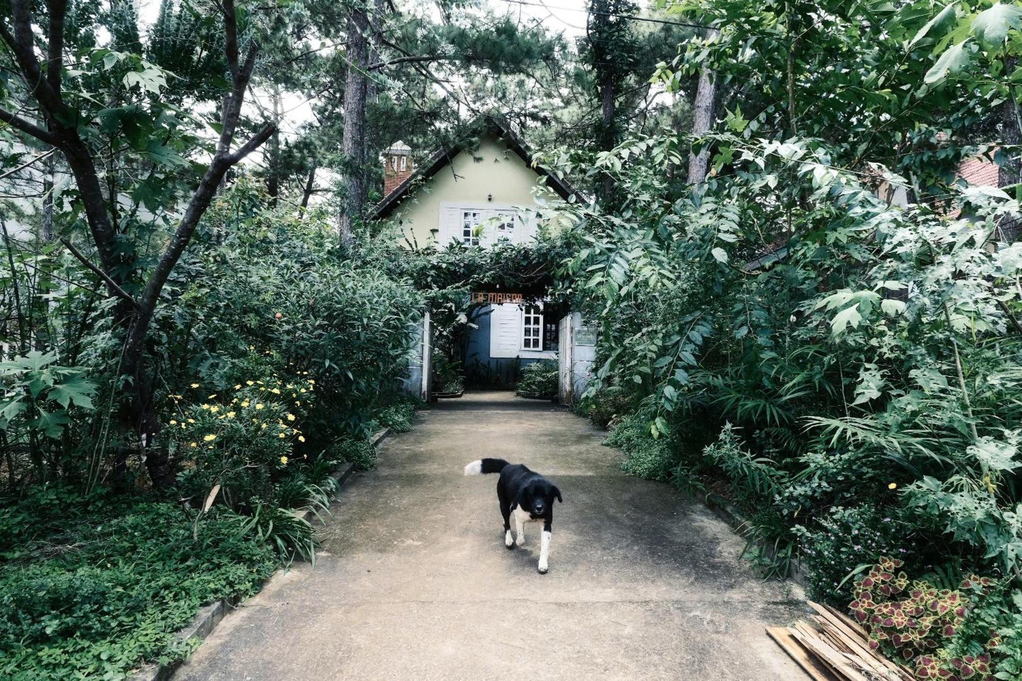 La Maison Homestay Măng Đen Tỉnh Kontum Exterior foto